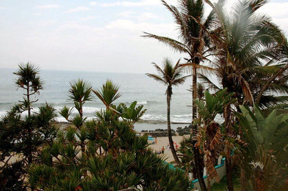 6 Chakas Place Shakas Rock Ballito Kwazulu Natal South Africa Beach, Nature, Sand, Palm Tree, Plant, Wood