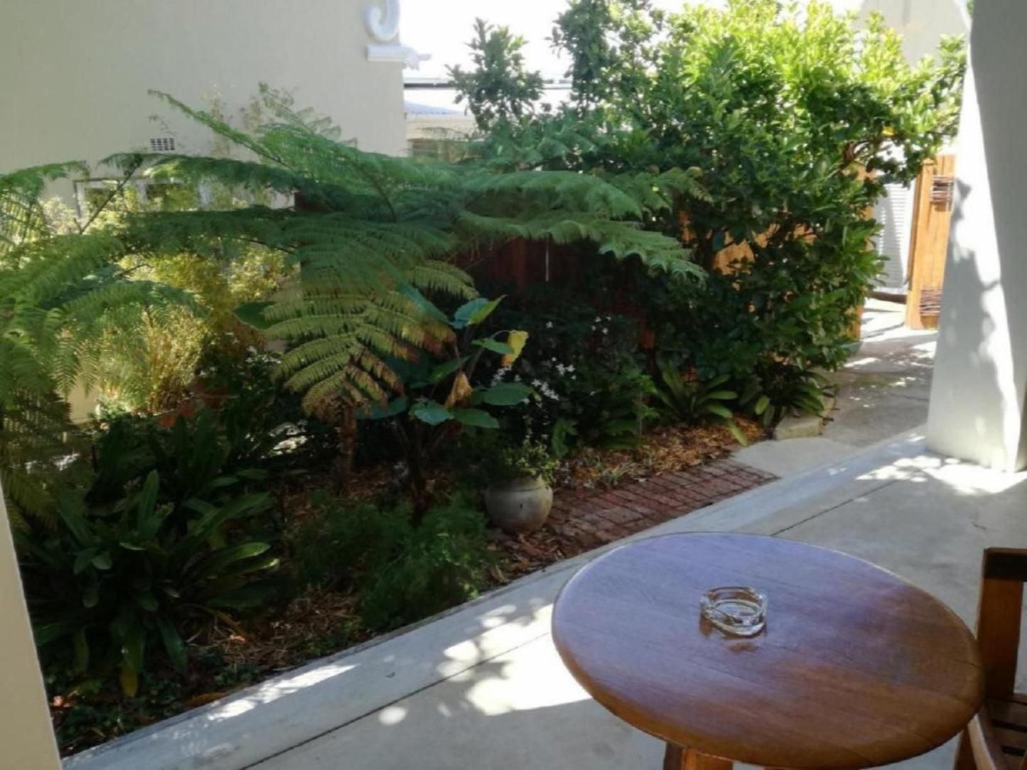 6 On Kloof Bredasdorp Western Cape South Africa Palm Tree, Plant, Nature, Wood, Garden