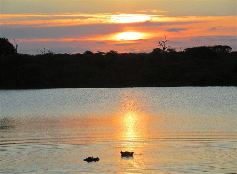 Kruger Park Safari From Southern To Northern Kruger For 6 Nights South Kruger Park Mpumalanga South Africa Sky, Nature, Sunset