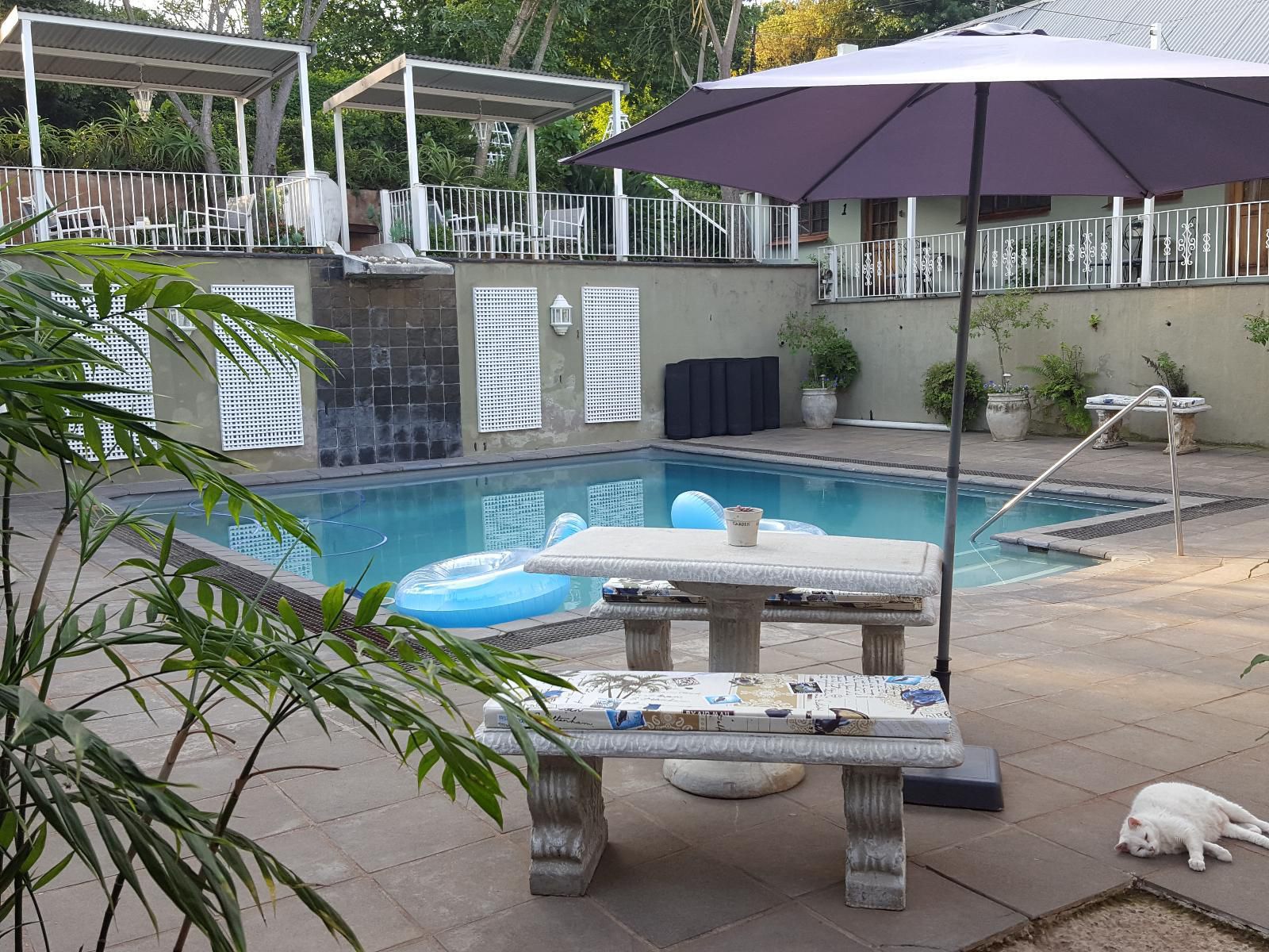 7 On Oakleigh Wembley Pietermaritzburg Kwazulu Natal South Africa Swimming Pool