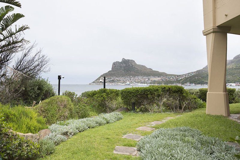 7 The Village Hout Bay Scott Estate Cape Town Western Cape South Africa Nature