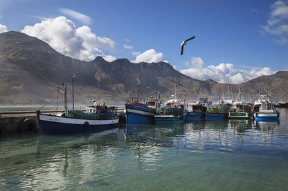 7 The Village Hout Bay Scott Estate Cape Town Western Cape South Africa City, Architecture, Building, Nature