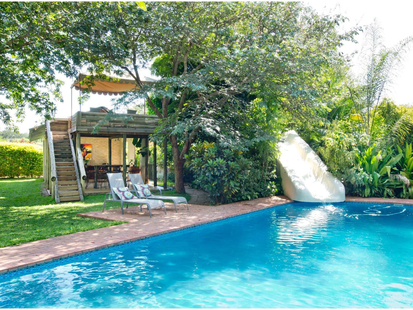 701 Victoria Falls, Garden, Nature, Plant, Swimming Pool