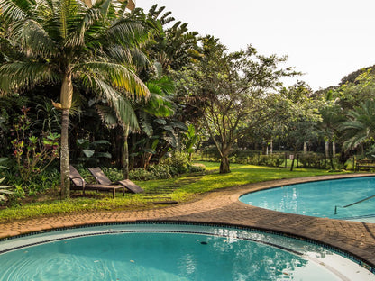 702 Oyster Rock Umhlanga Rocks Umhlanga Kwazulu Natal South Africa Palm Tree, Plant, Nature, Wood, Garden, Swimming Pool