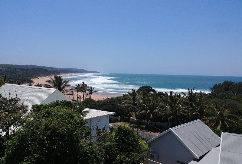 72 Nkwazi Drive Zinkwazi Beach Zinkwazi Beach Nkwazi Kwazulu Natal South Africa Beach, Nature, Sand, Palm Tree, Plant, Wood, Ocean, Waters