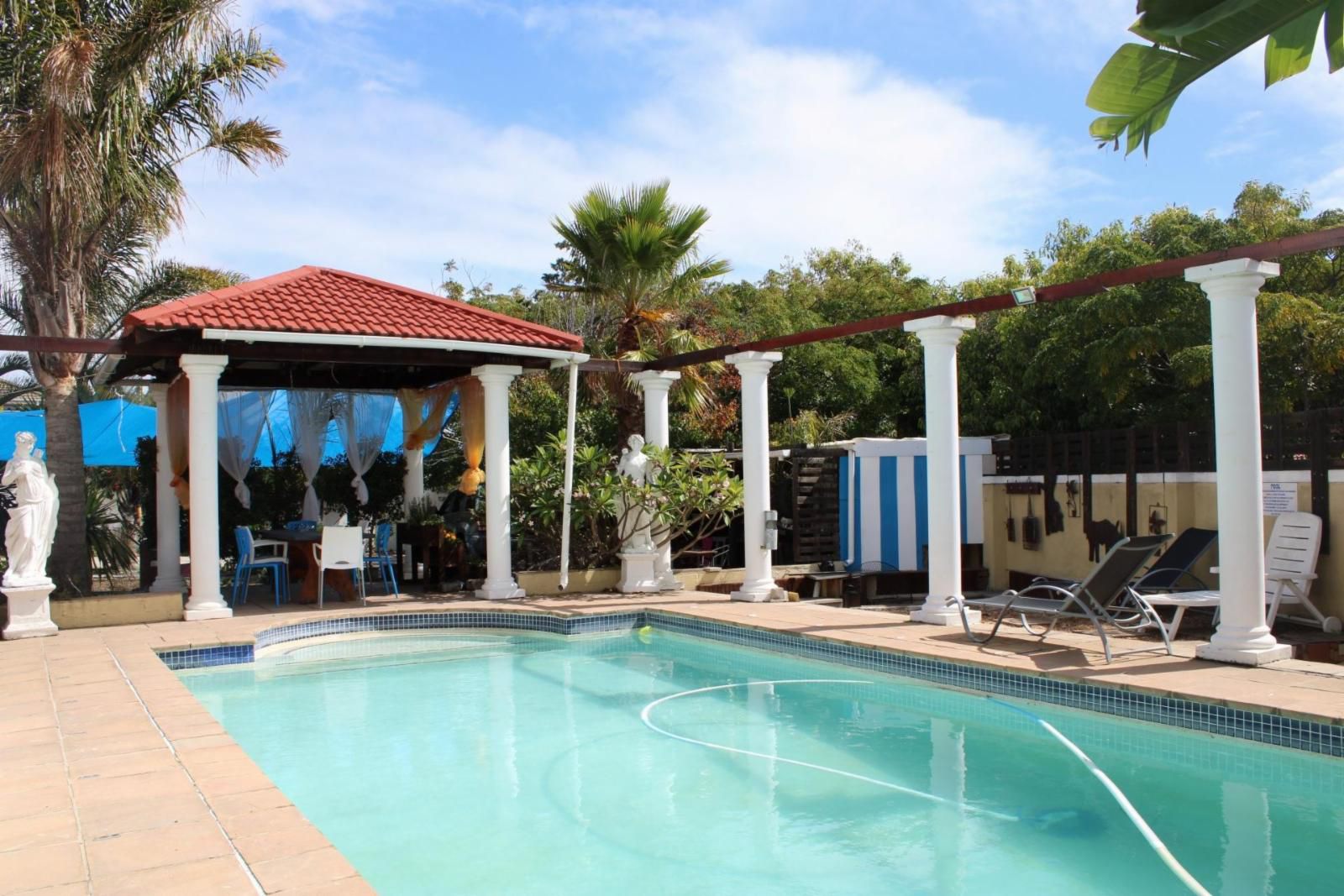 72 On Tap Milnerton Ridge Cape Town Western Cape South Africa Complementary Colors, Palm Tree, Plant, Nature, Wood, Swimming Pool