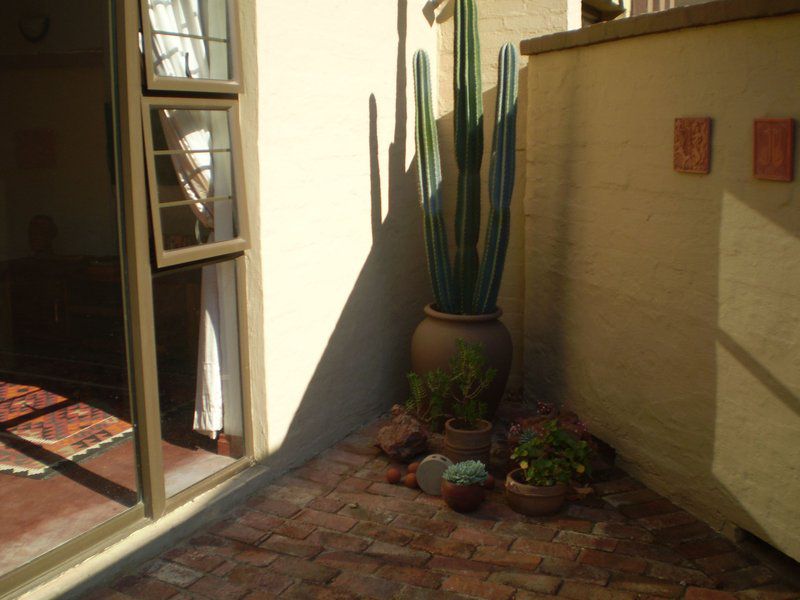 76Ondolweni Boskruin Johannesburg Gauteng South Africa Cactus, Plant, Nature