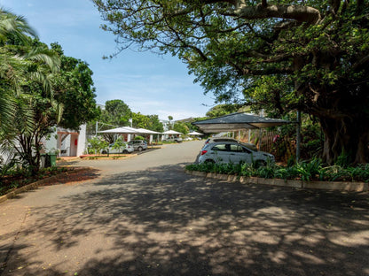 79 Chaka S Cove Shakas Rock Ballito Kwazulu Natal South Africa House, Building, Architecture, Palm Tree, Plant, Nature, Wood, Street, Car, Vehicle