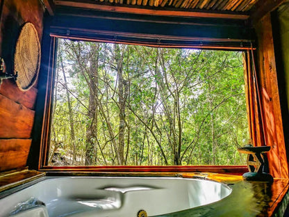 Fernhill Tented Treehouses Phantom Acres Knysna Western Cape South Africa Boat, Vehicle