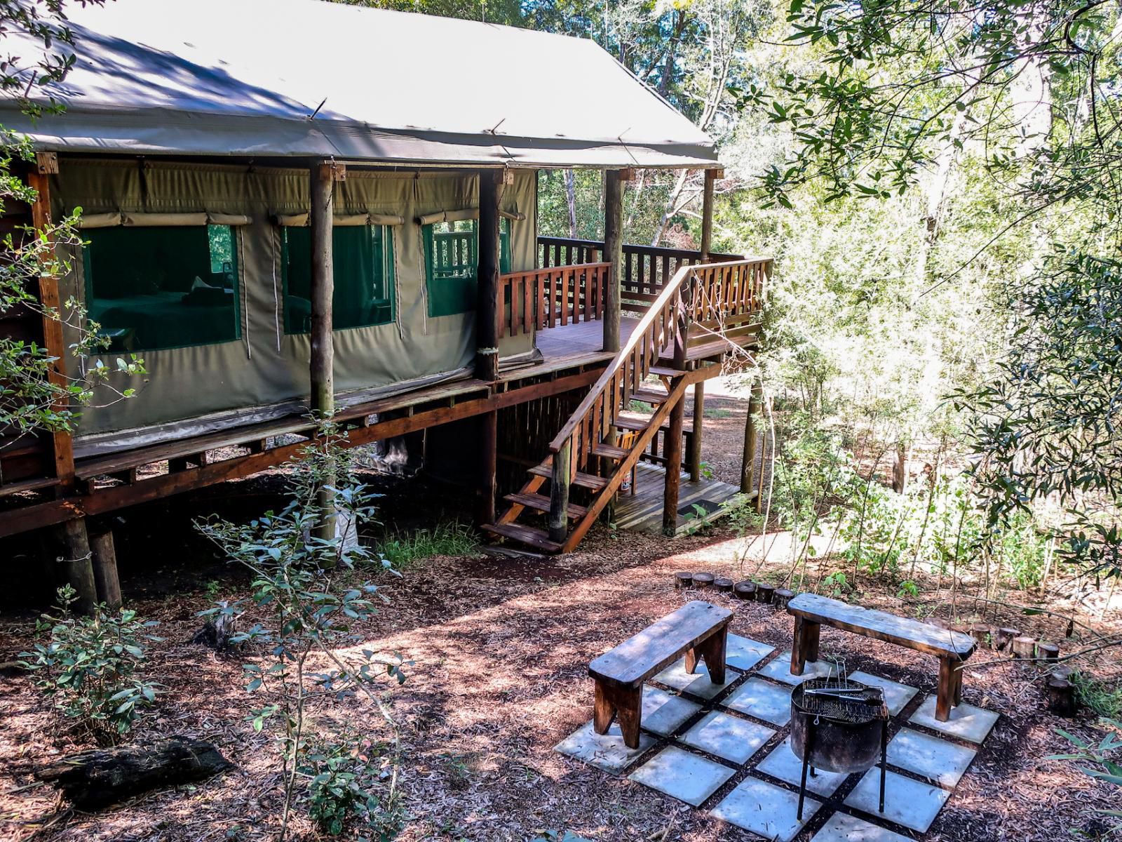 Fernhill Tented Treehouses Phantom Acres Knysna Western Cape South Africa Cabin, Building, Architecture, Railroad