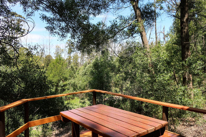 Fernhill Tented Treehouses Phantom Acres Knysna Western Cape South Africa Forest, Nature, Plant, Tree, Wood