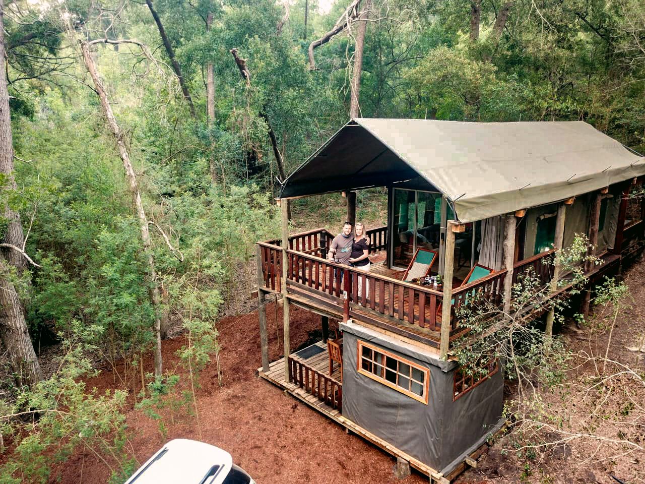 Fernhill Tented Treehouses Phantom Acres Knysna Western Cape South Africa Forest, Nature, Plant, Tree, Wood