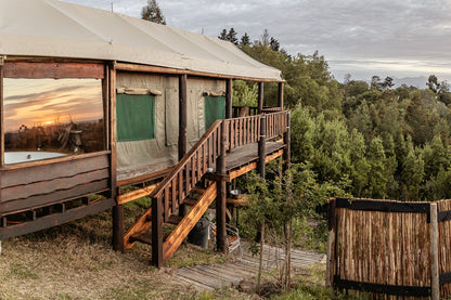 Double Tented Treehouse @ Fernhill Tented Treehouses