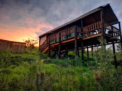 Double Tented Treehouse @ Fernhill Tented Treehouses