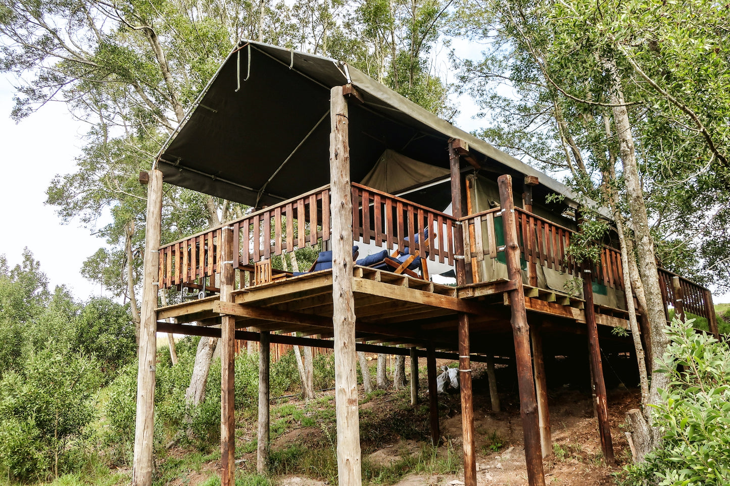 Double Tented Treehouse @ Fernhill Tented Treehouses