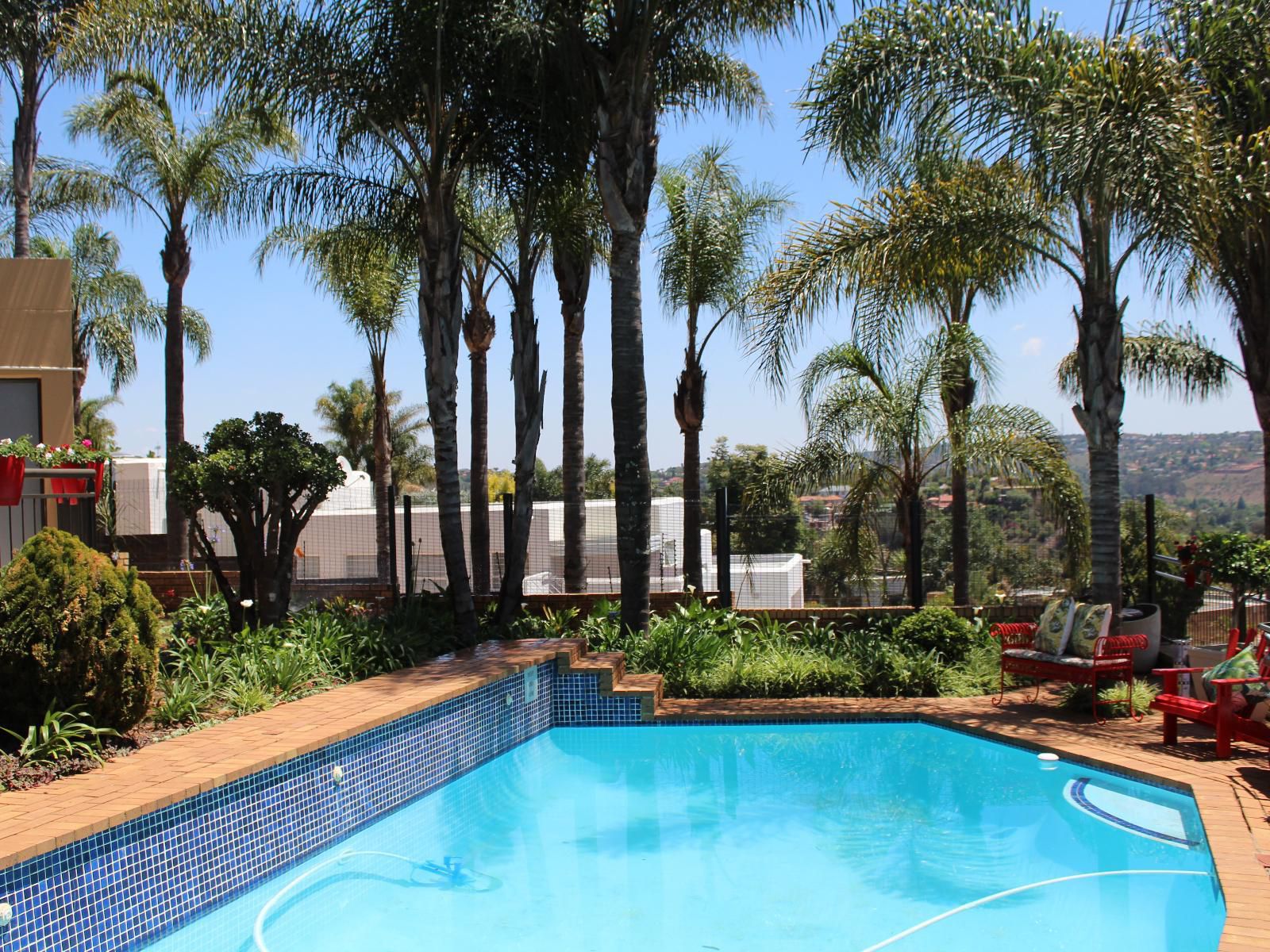 7Th Heaven Guesthouse Helderkruin Johannesburg Gauteng South Africa Palm Tree, Plant, Nature, Wood, Garden, Swimming Pool