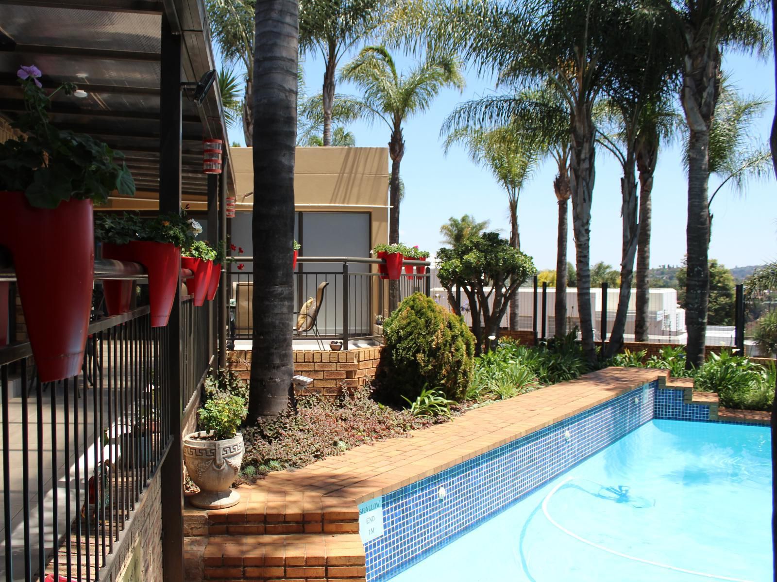 7Th Heaven Guesthouse Helderkruin Johannesburg Gauteng South Africa Complementary Colors, Palm Tree, Plant, Nature, Wood, Swimming Pool