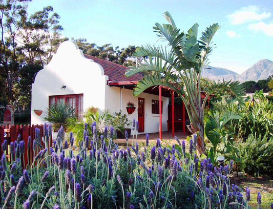 7Th Heaven Lodge And Tours Somerset West Western Cape South Africa Complementary Colors, House, Building, Architecture, Palm Tree, Plant, Nature, Wood
