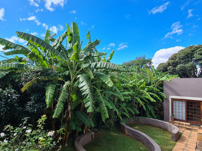 7Th Street Guesthouse Melville Johannesburg Gauteng South Africa Palm Tree, Plant, Nature, Wood, Garden