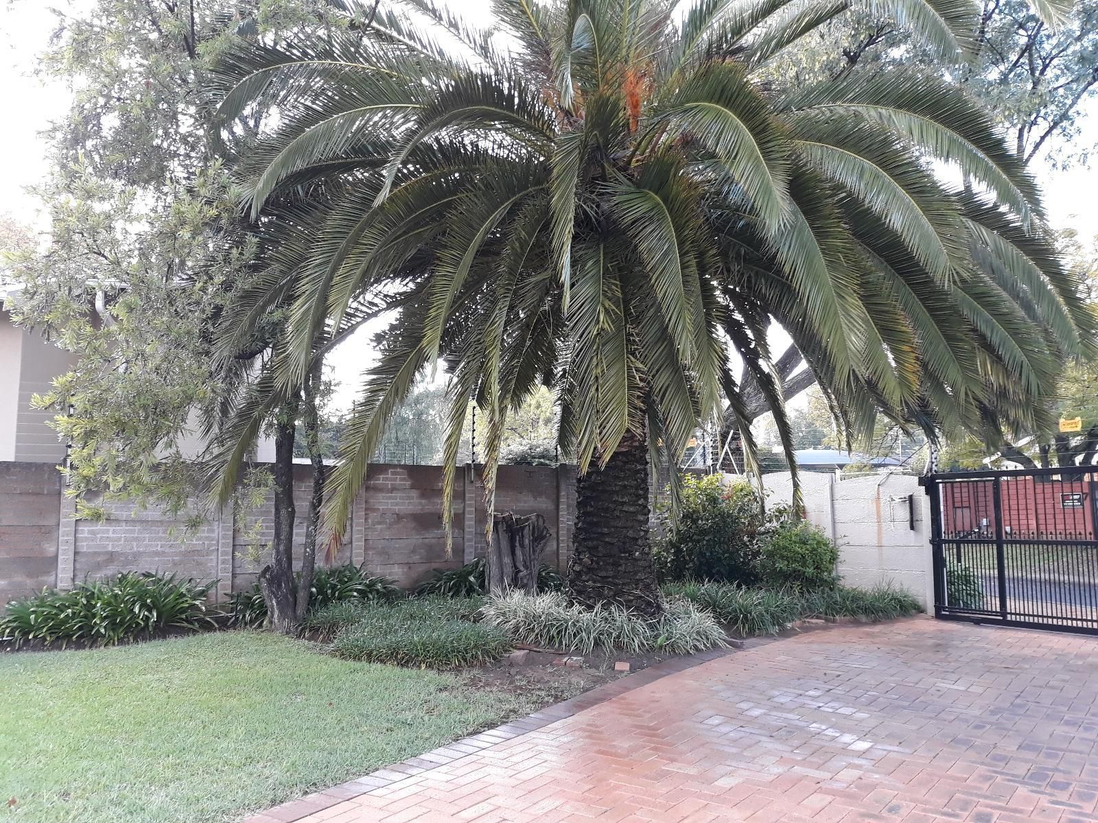 8 Ibis Lane Guest House Fourways Johannesburg Gauteng South Africa Unsaturated, House, Building, Architecture, Palm Tree, Plant, Nature, Wood