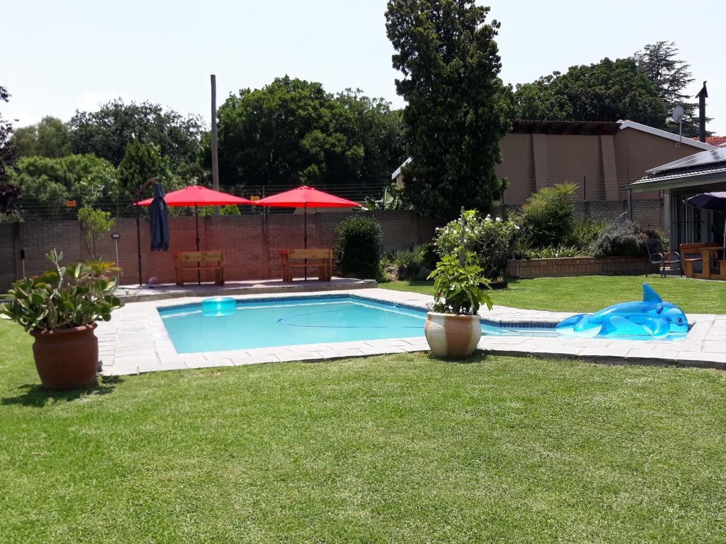 8 Ibis Lane Guest House Fourways Johannesburg Gauteng South Africa Garden, Nature, Plant, Swimming Pool