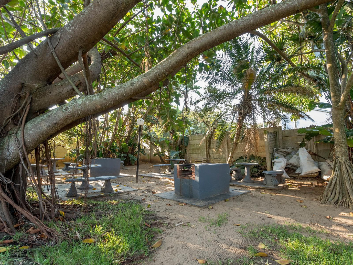 803 La Ballito Ballito Kwazulu Natal South Africa Boat, Vehicle, Palm Tree, Plant, Nature, Wood, Ruin, Architecture