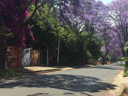 84 On 4Th Melville Johannesburg Gauteng South Africa Blossom, Plant, Nature, House, Building, Architecture, Street