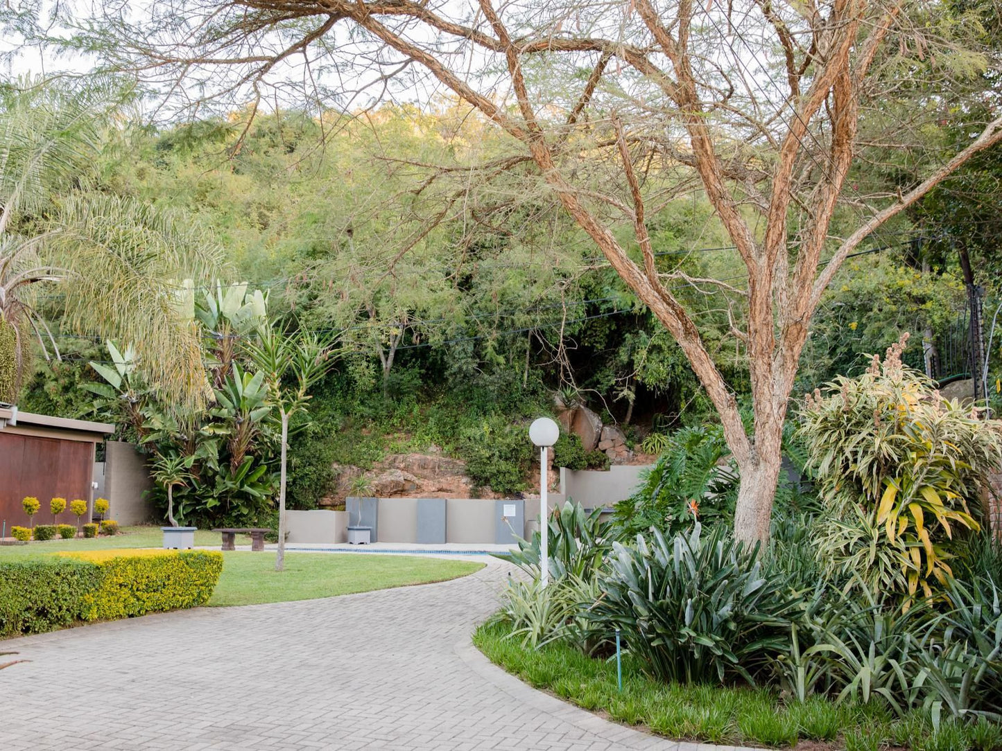 85 Ehmke Nelspruit Mpumalanga South Africa Palm Tree, Plant, Nature, Wood, Garden