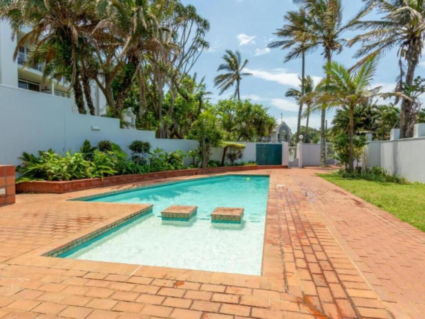 89 Chakas Cove Shakas Rock Ballito Kwazulu Natal South Africa Palm Tree, Plant, Nature, Wood, Garden, Swimming Pool