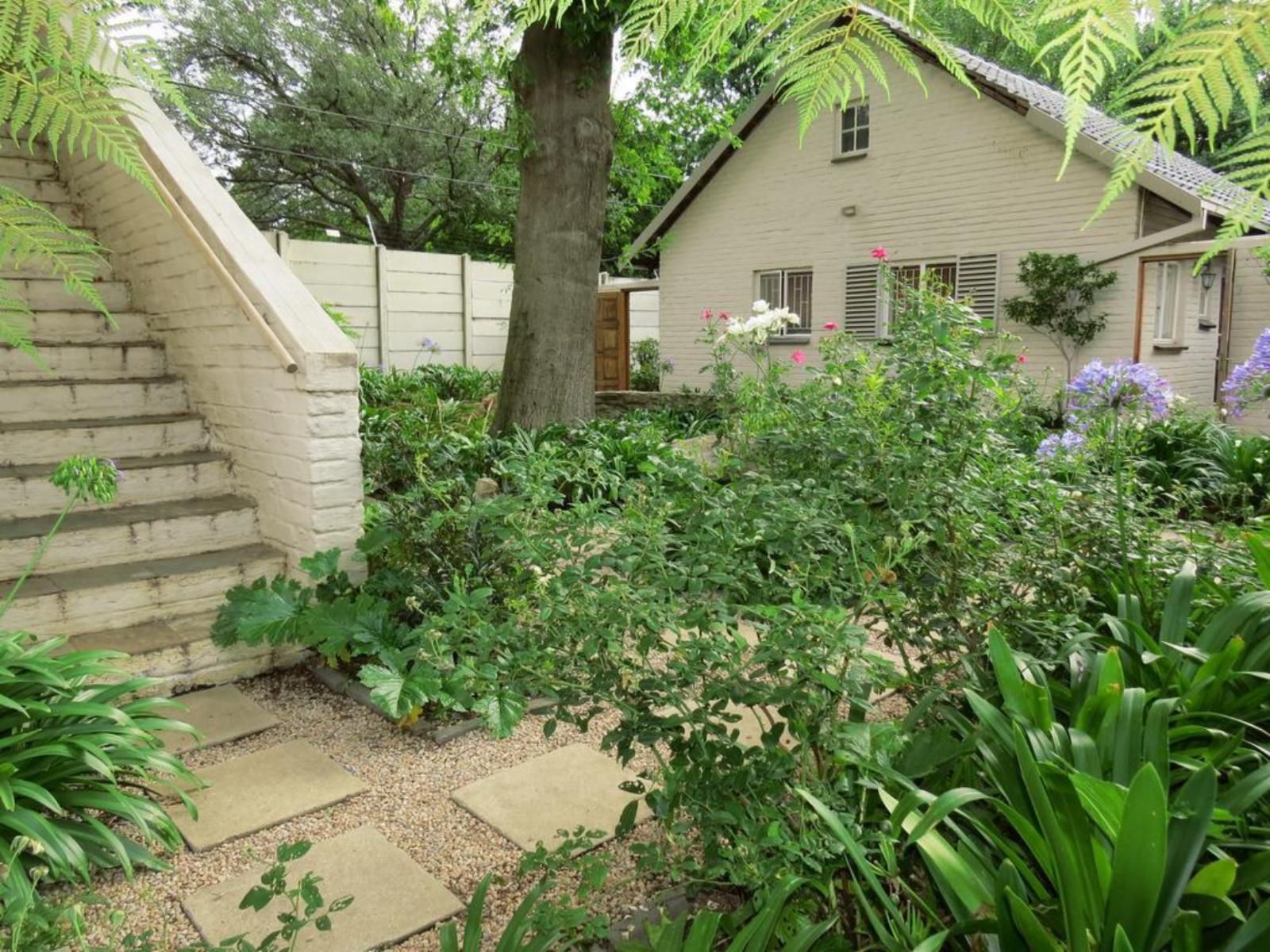 8 Landsdowne Bed And Breakfast Bryanston Johannesburg Gauteng South Africa House, Building, Architecture, Plant, Nature, Garden