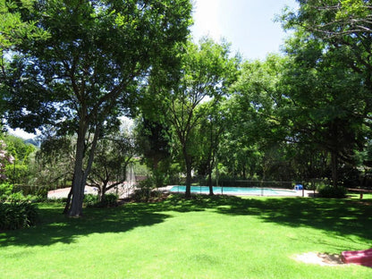 8 Landsdowne Bed And Breakfast Bryanston Johannesburg Gauteng South Africa Tree, Plant, Nature, Wood, Garden, Swimming Pool