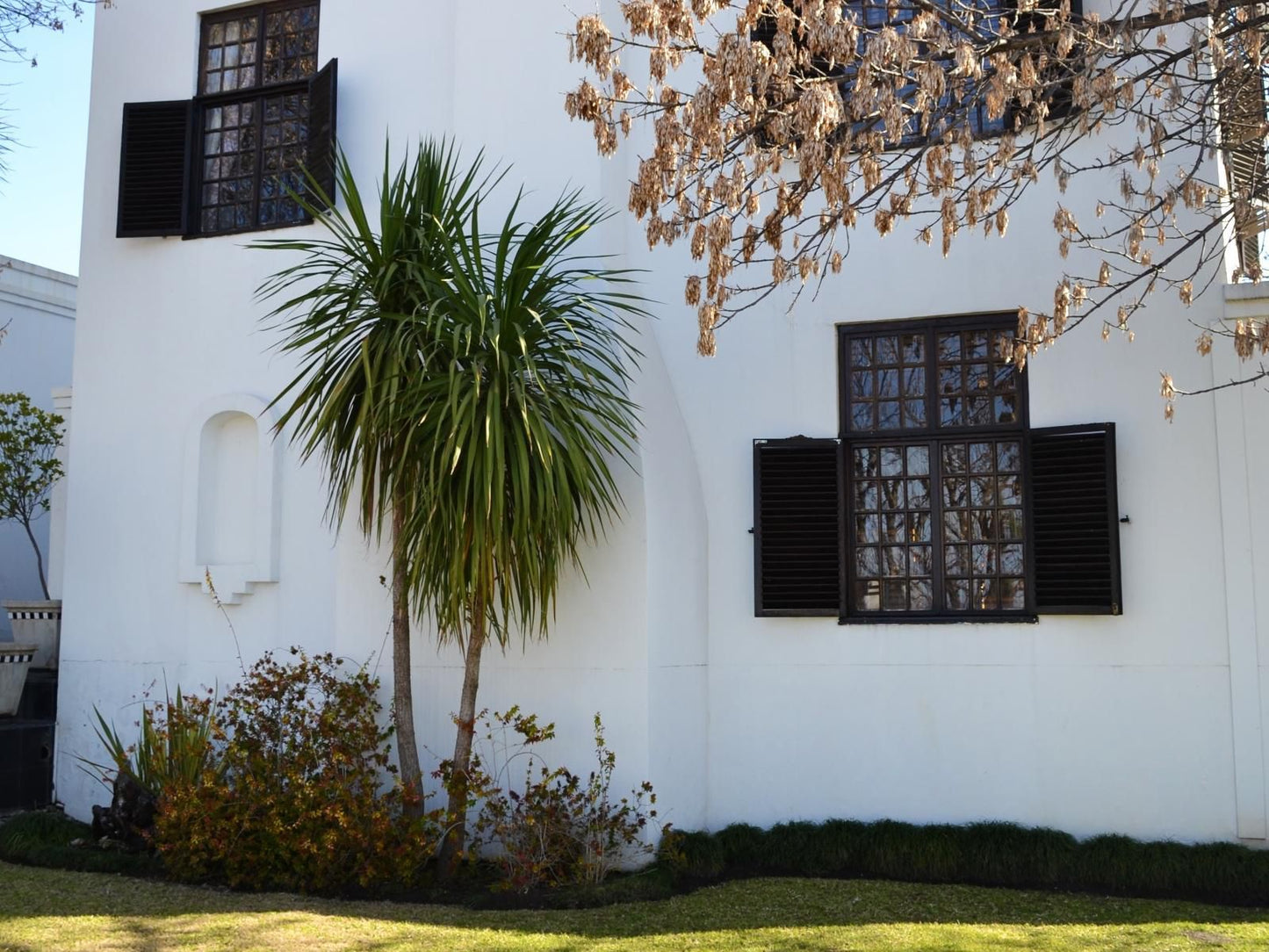 96 On Bree Guesthouse Heilbron Free State South Africa House, Building, Architecture, Palm Tree, Plant, Nature, Wood