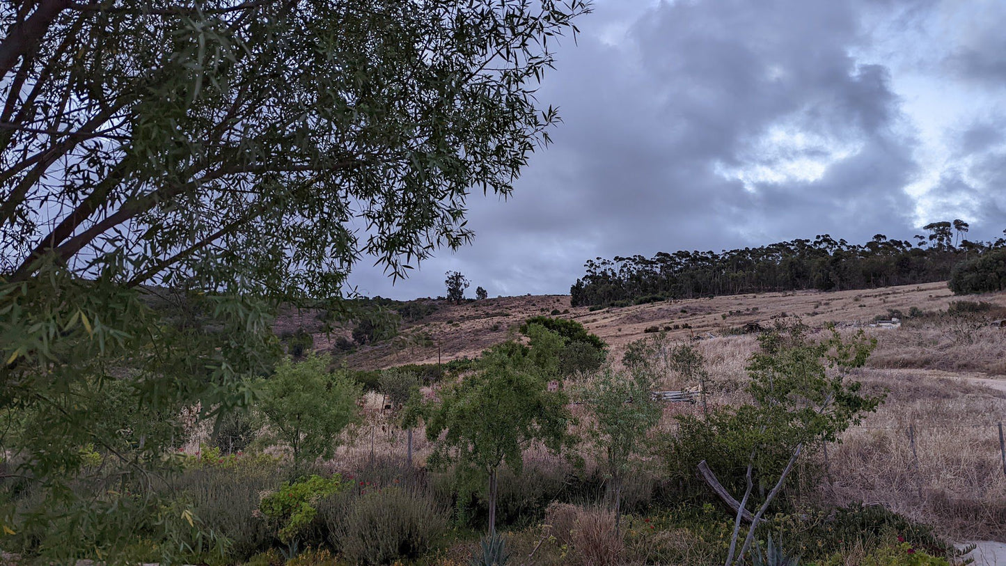  AA Badenhorst Family Wines