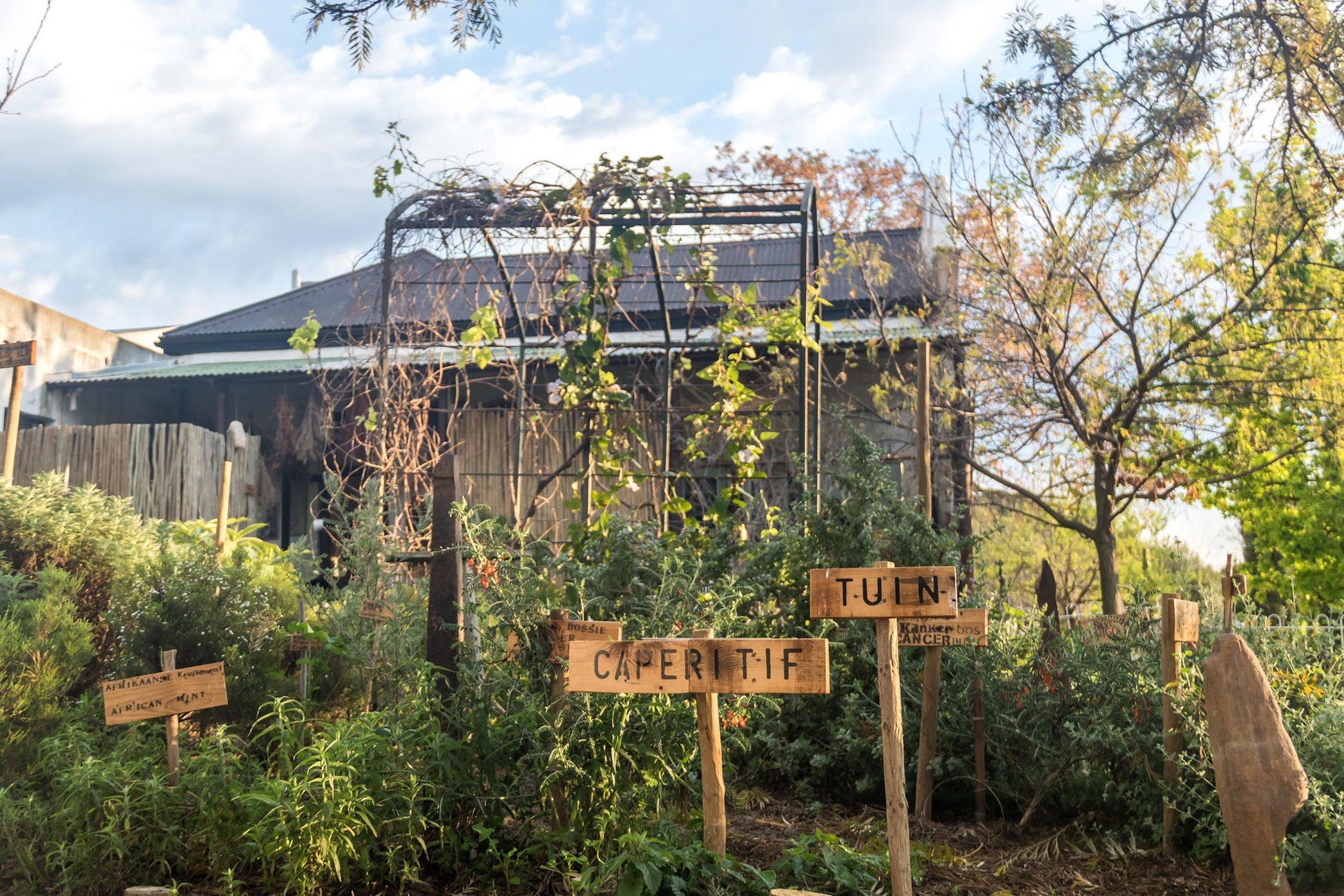  AA Badenhorst Family Wines