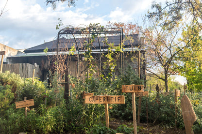  AA Badenhorst Family Wines