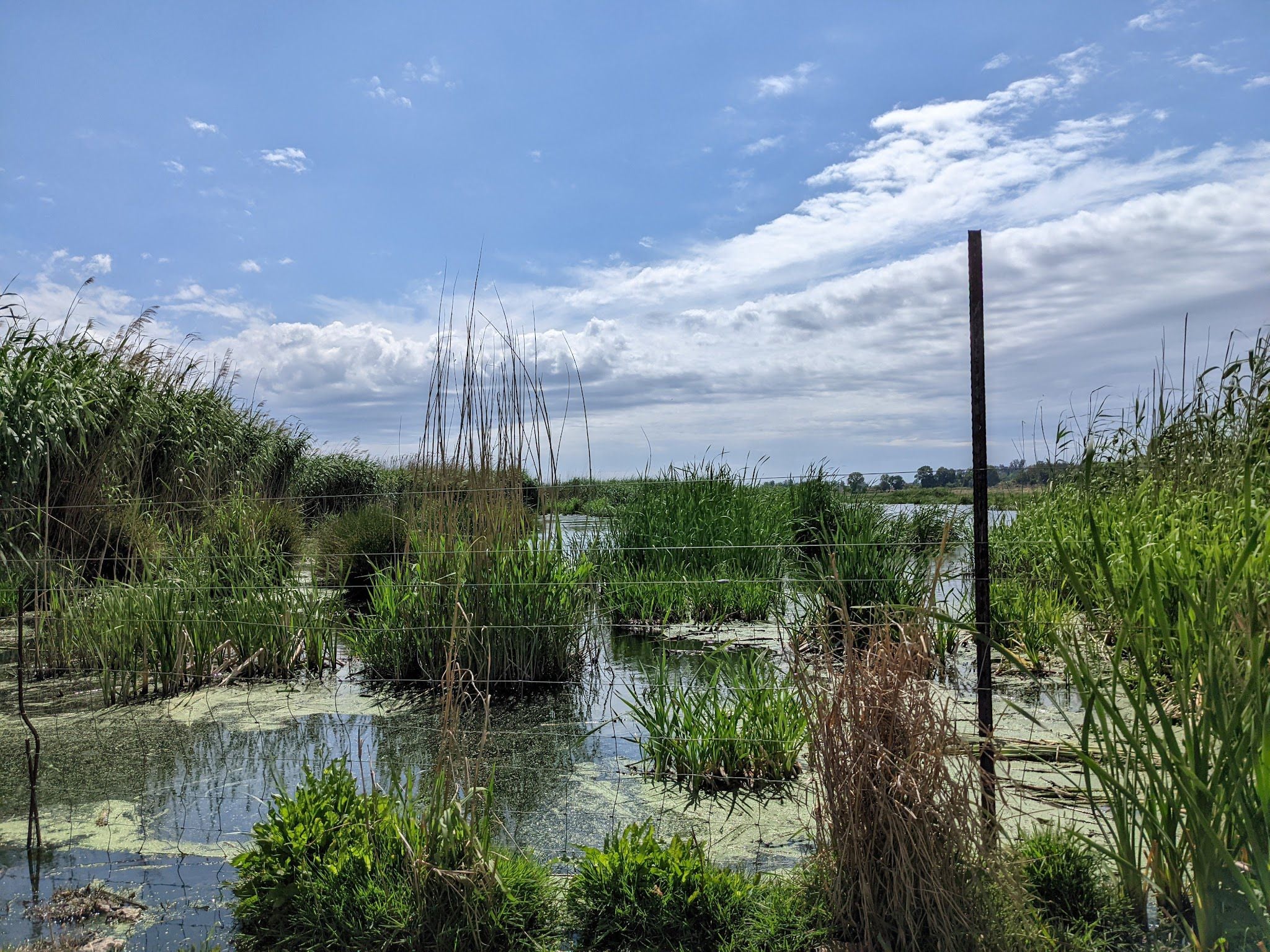  Abe Bailey Nature Reserve