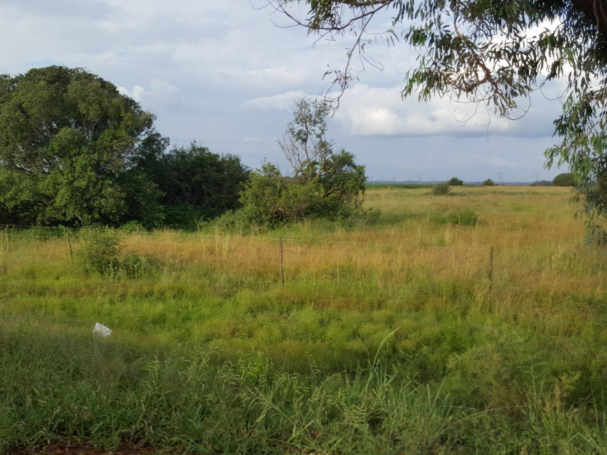  Abe Bailey Nature Reserve