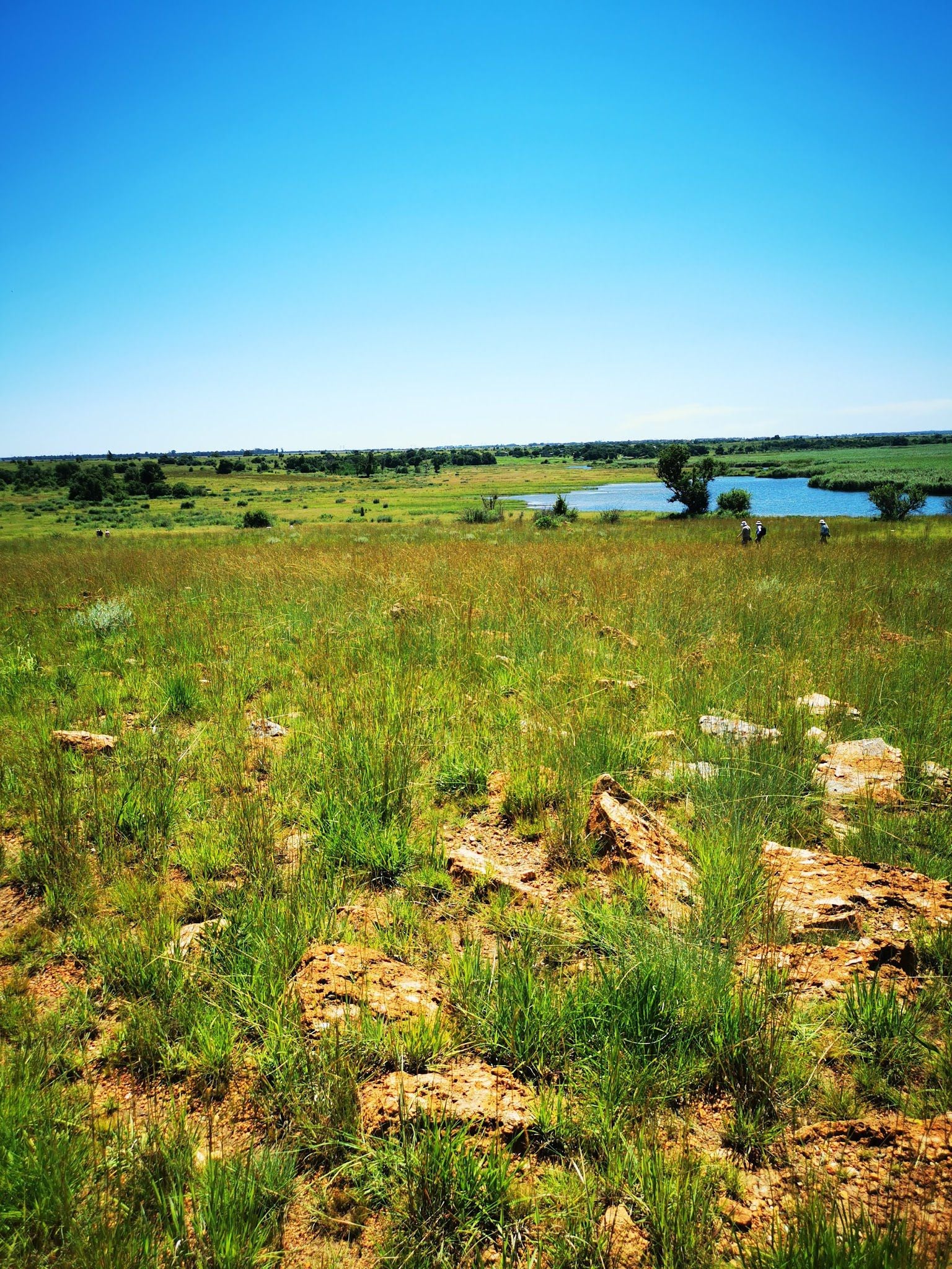  Abe Bailey Nature Reserve