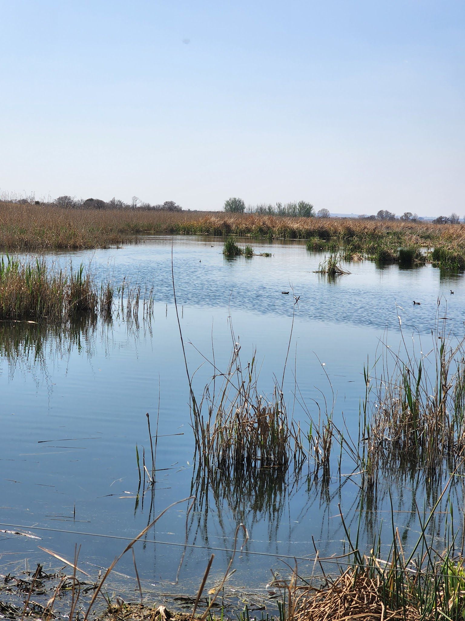  Abe Bailey Nature Reserve