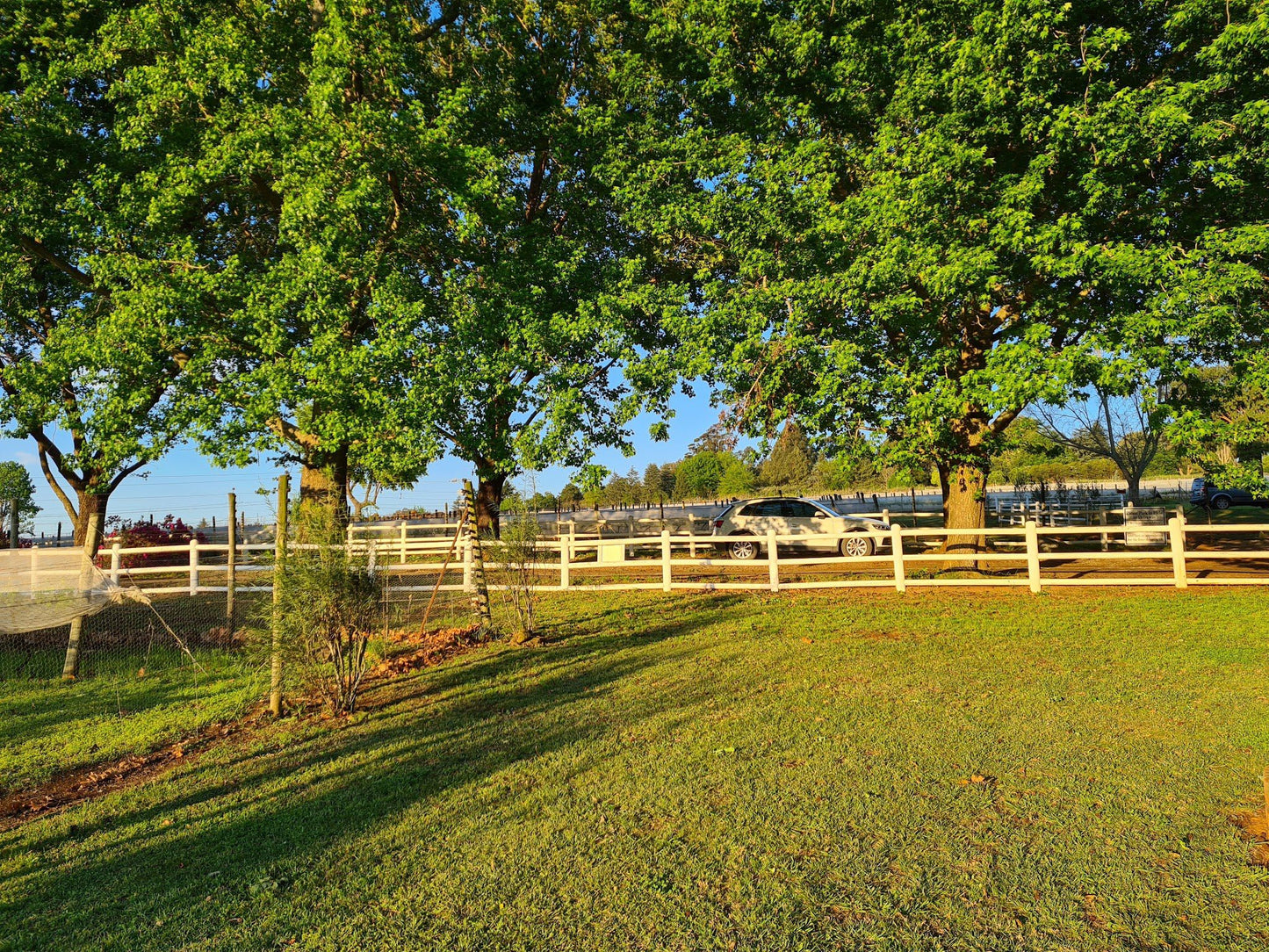  Abingdon Wine estate