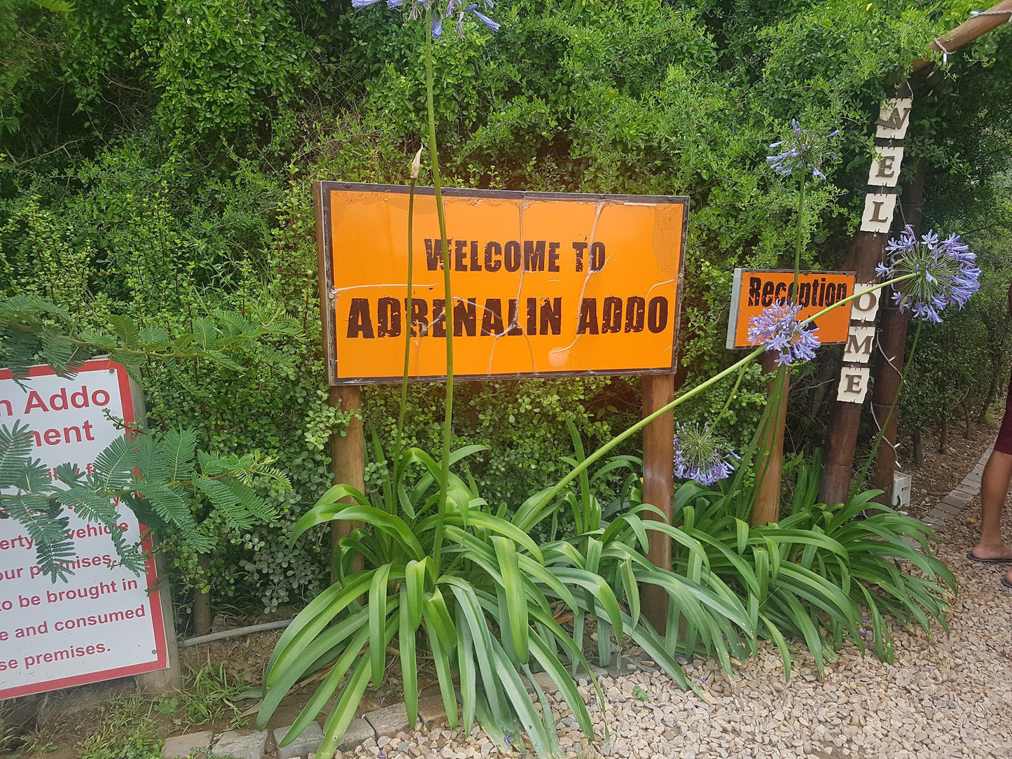  Adrenalin Addo Adventure Park