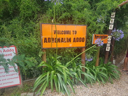  Adrenalin Addo Adventure Park