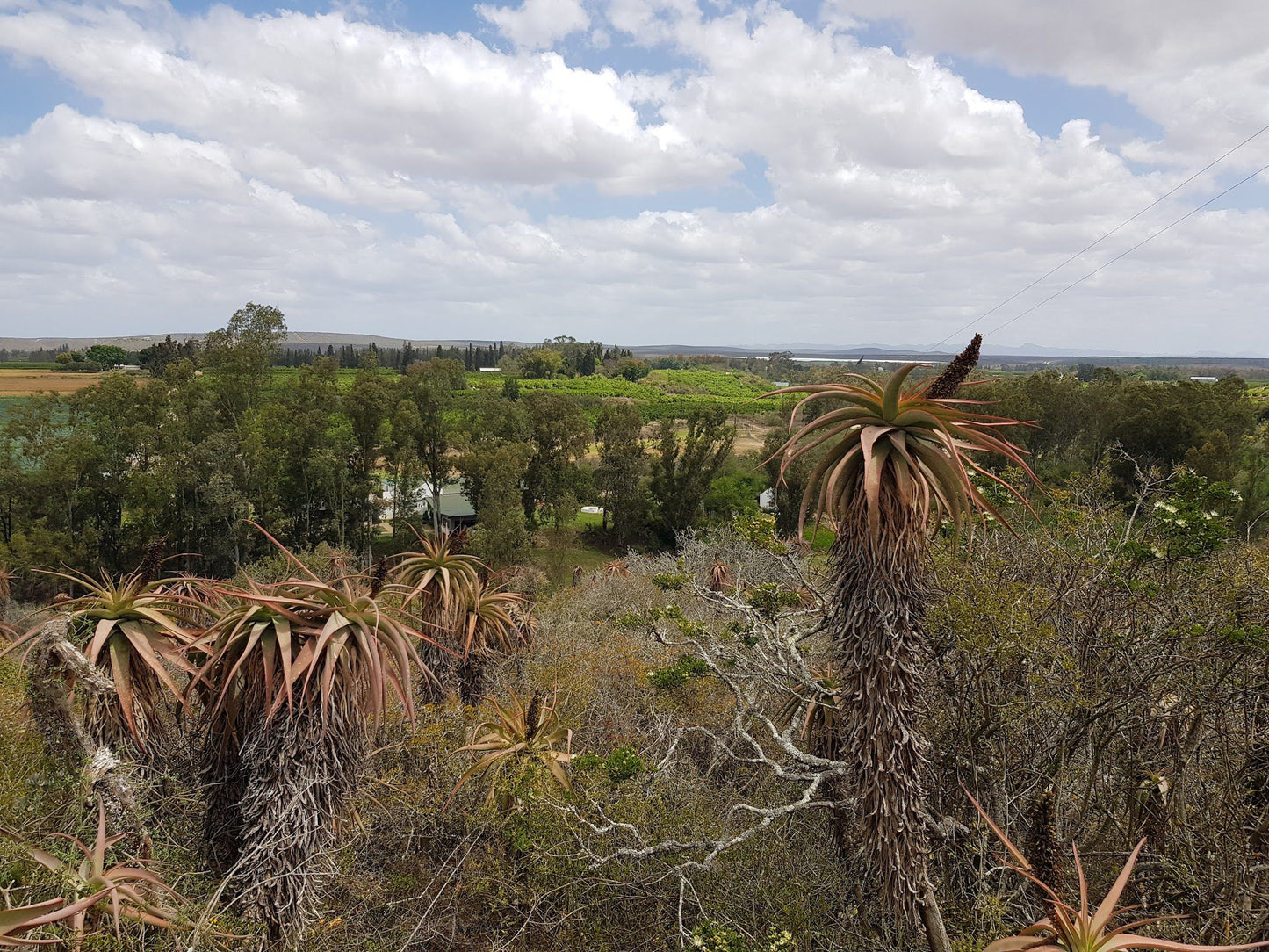  Adrenalin Addo Adventure Park