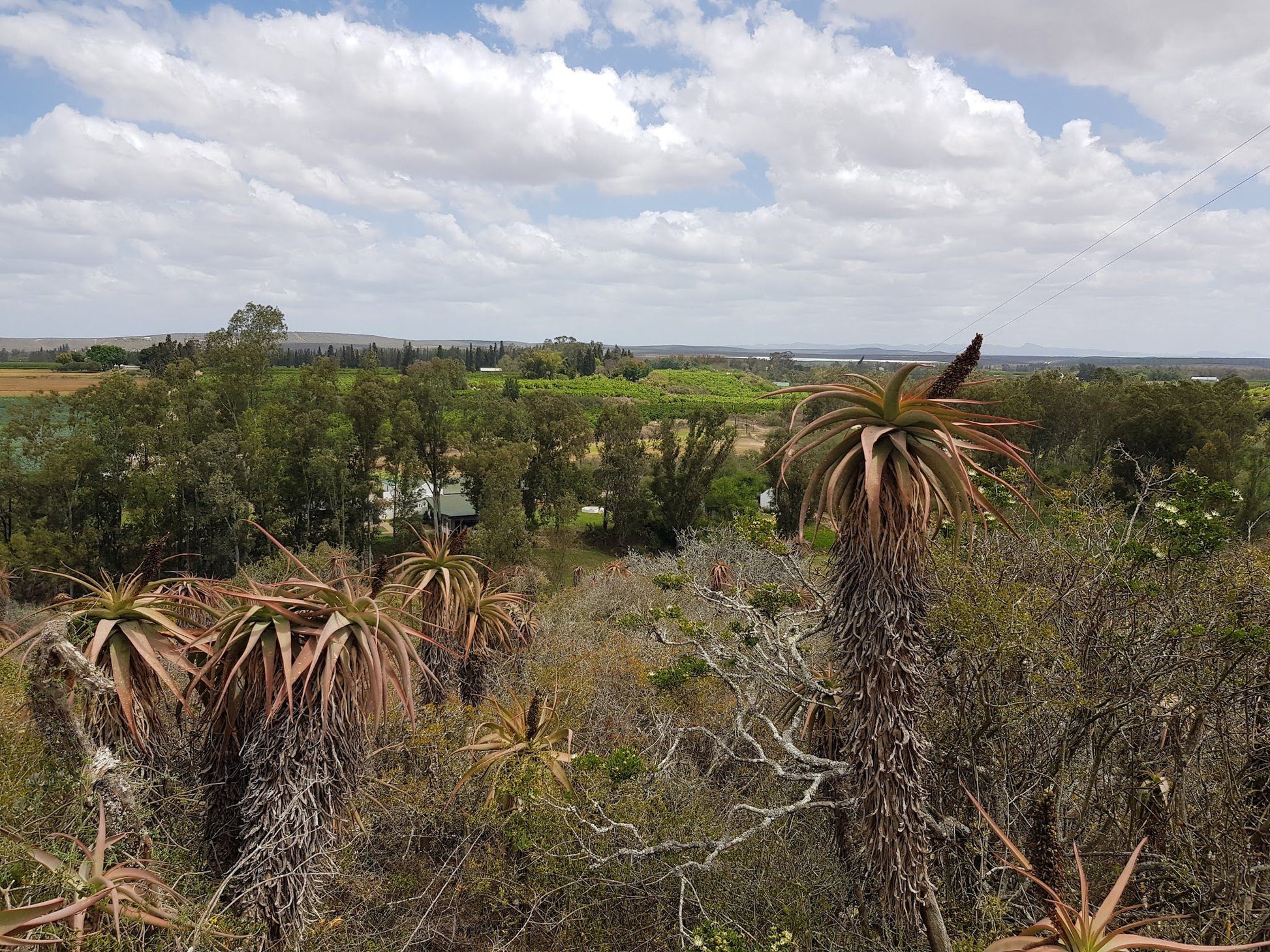  Adrenalin Addo Adventure Park