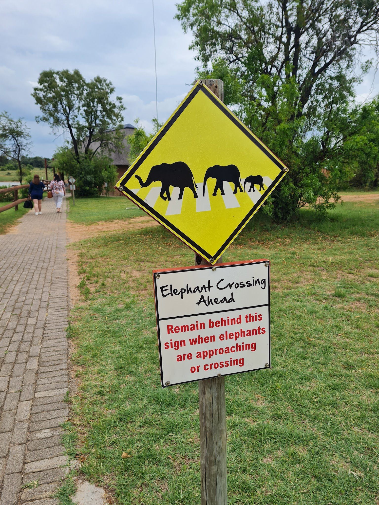  Adventures With Elephants