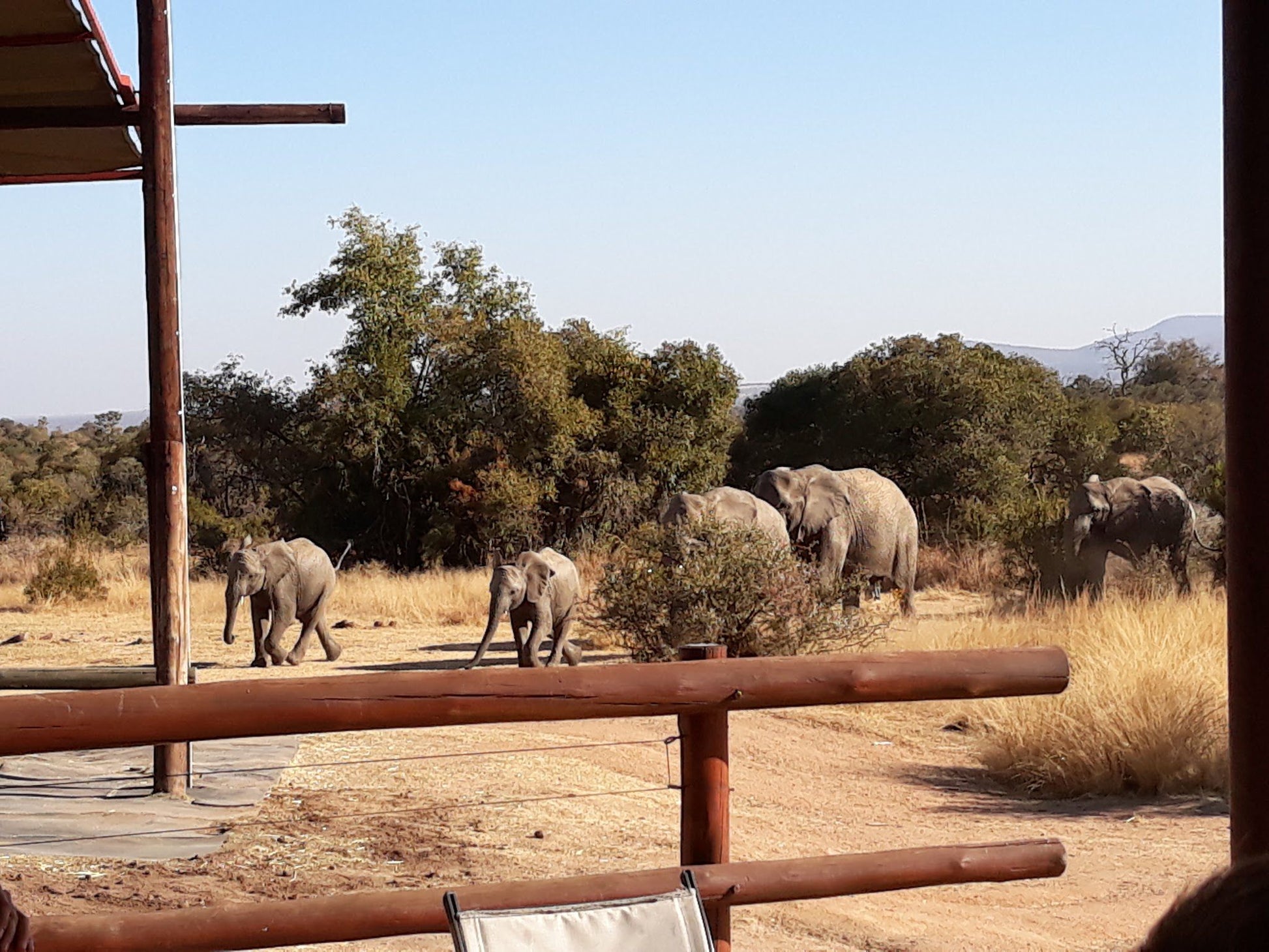  Adventures With Elephants