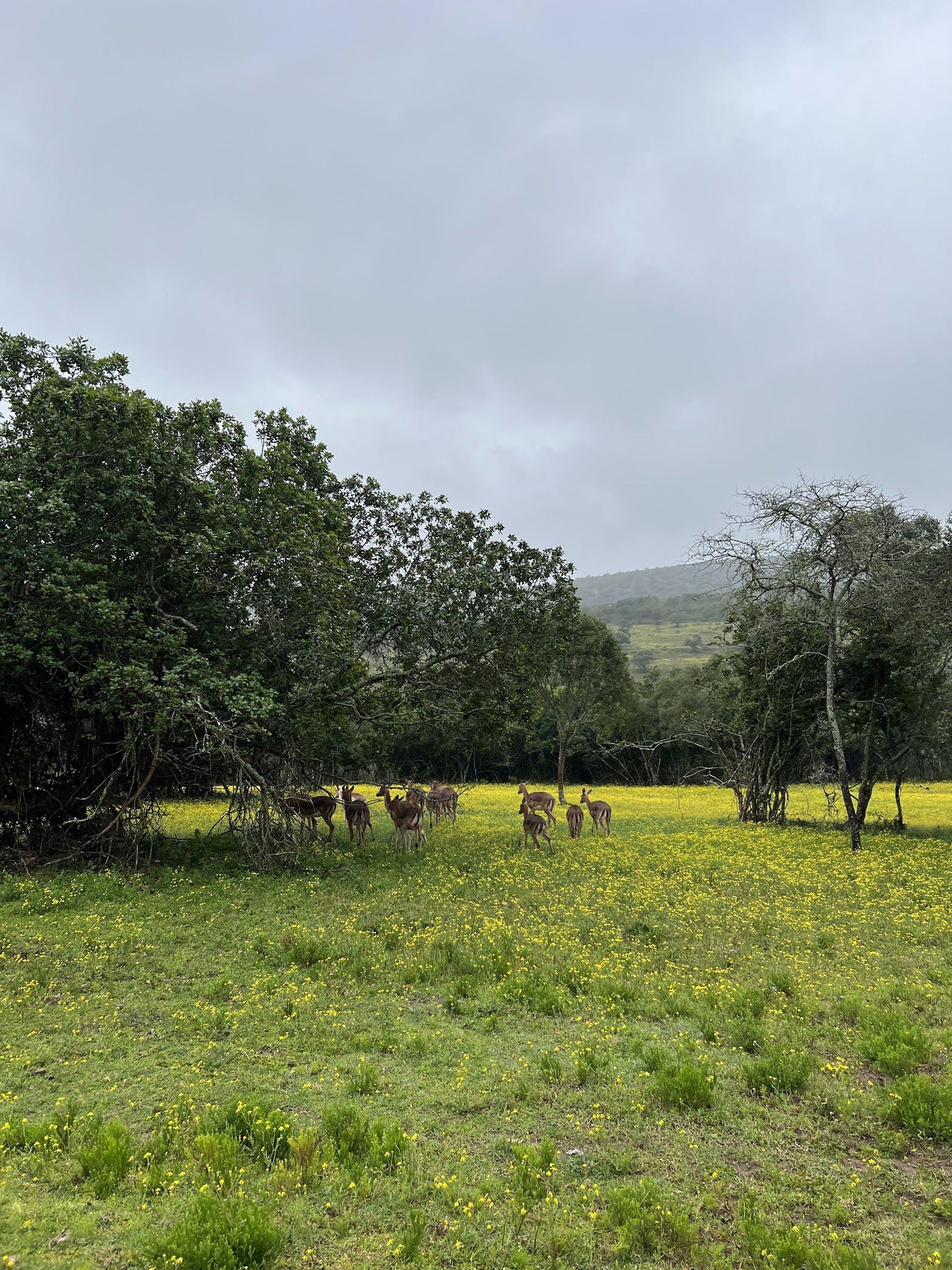  African Dawn Wildlife Sanctuary