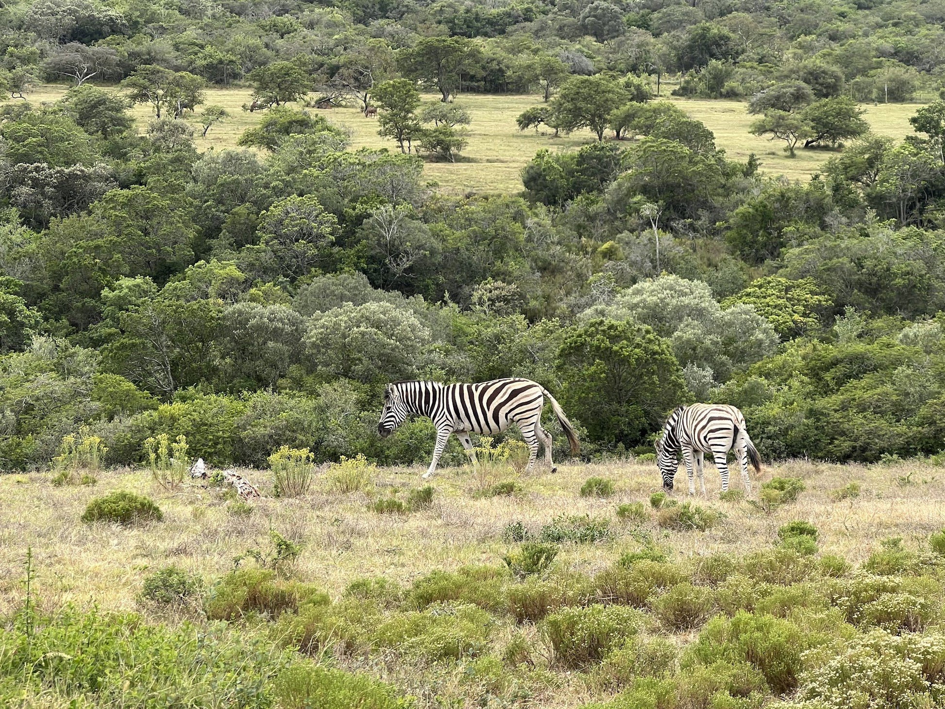  African Dawn Wildlife Sanctuary