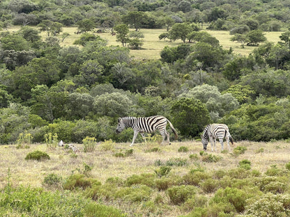  African Dawn Wildlife Sanctuary