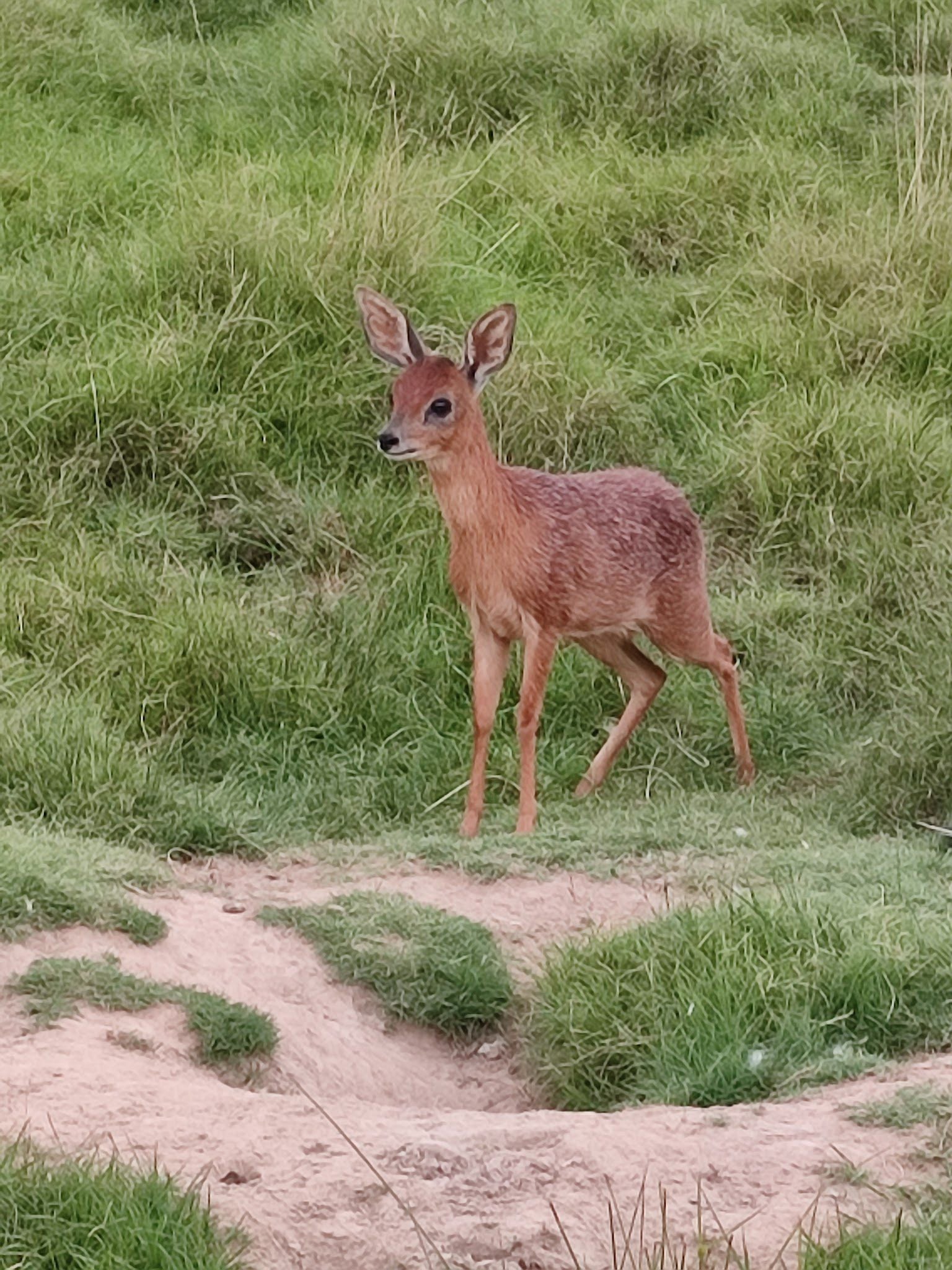  African Dawn Wildlife Sanctuary